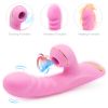 CR-DZ Dibey Rabbit 13th Generation Vibrator Pink - Pink